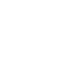 Pay Details