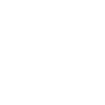Pay Details